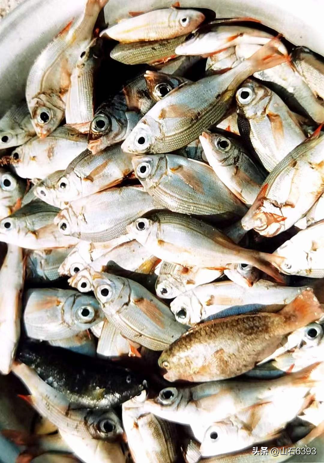 南沙群岛老照片,南沙群岛珍贵影像