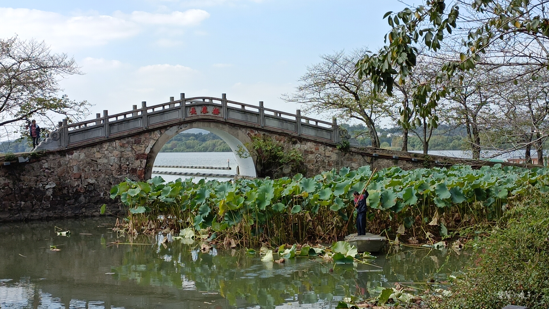 苏州太湖和无锡太湖哪个好玩,江苏无锡的太湖和江西太湖