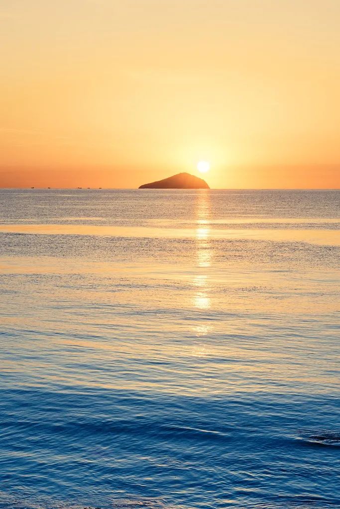 这个“垃圾大国”，真是让我开眼了