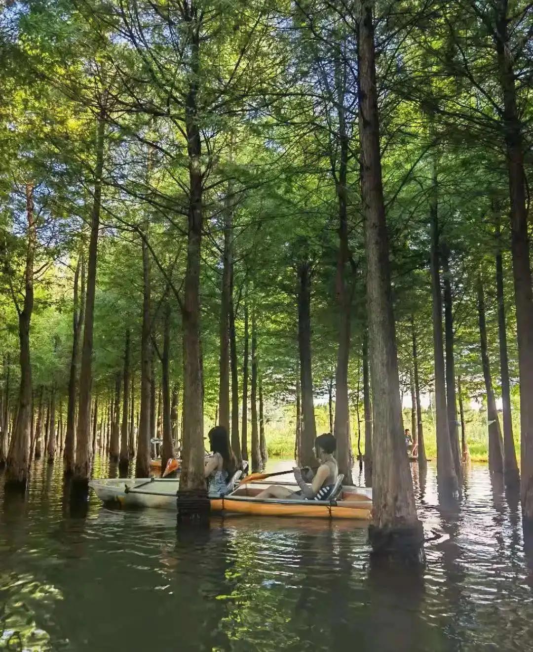 云南旅游攻略昆明旅游攻略,云南昆明旅游攻略