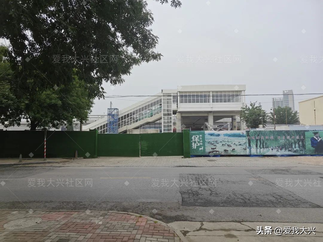 两年了，大兴这个项目建的如何了？预计...