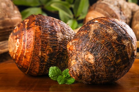 三九补一冬吃什么食物,冬补三九下一句