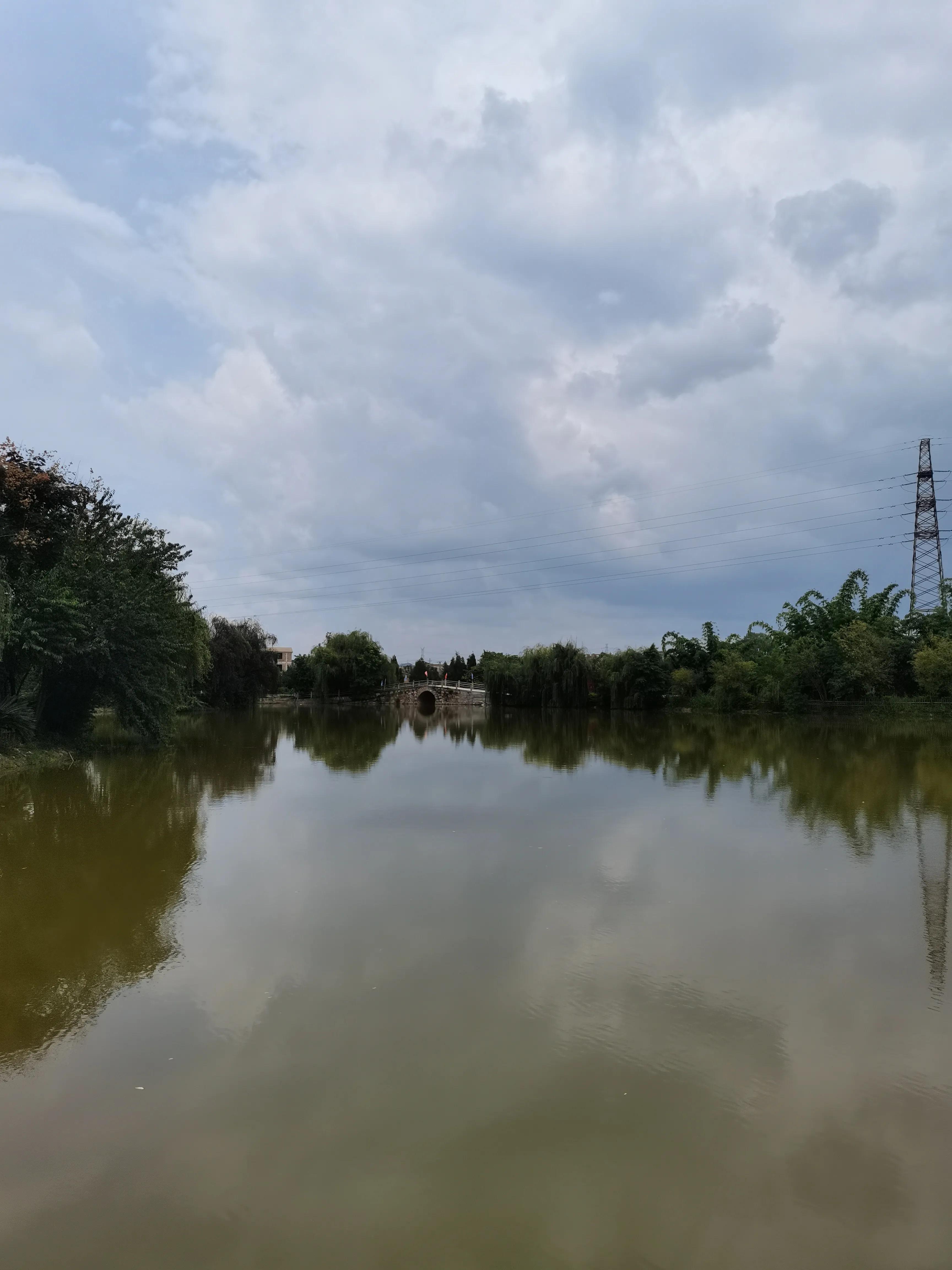 株洲附近休闲度假好去处,休闲度假好去处桥头莲湖荷花盛放