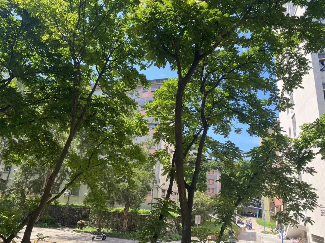 适合退休人的旅居地方有哪些,退休去海南旅居有吃住的地方吗