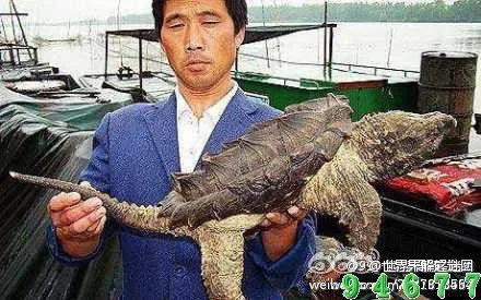 带你看世界奇闻异事,世界奇闻百态