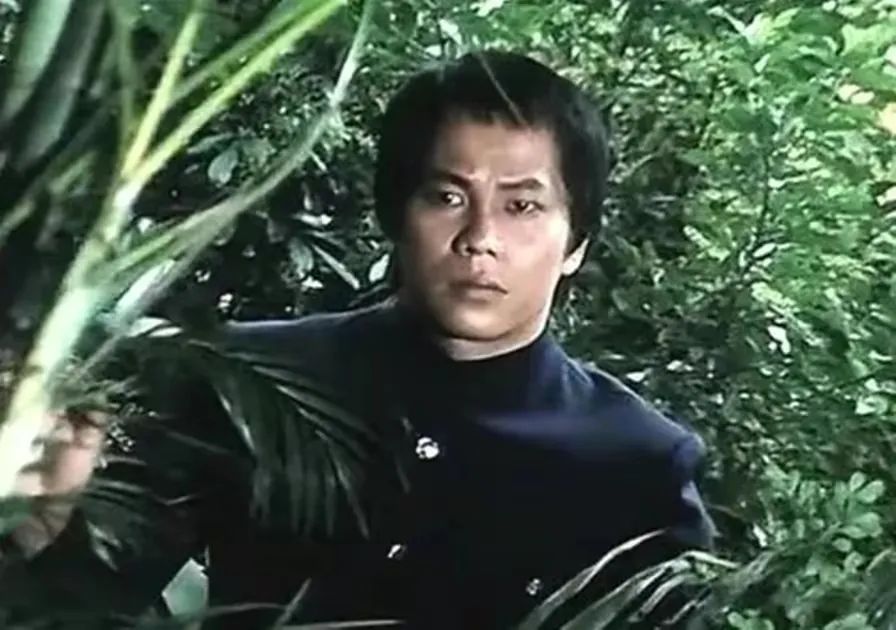 老一代港星生活,老一代男港星70岁以上