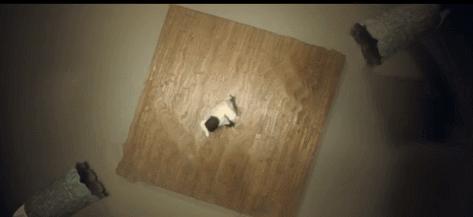 2022hifi音质最好手机,2021公认音质最好hifi手机