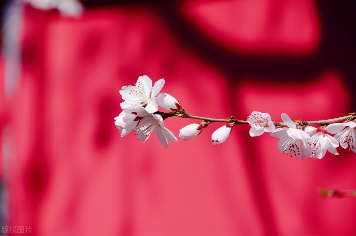 男人让女人失望心凉的短句,男人让女人心凉的几种愚蠢表现