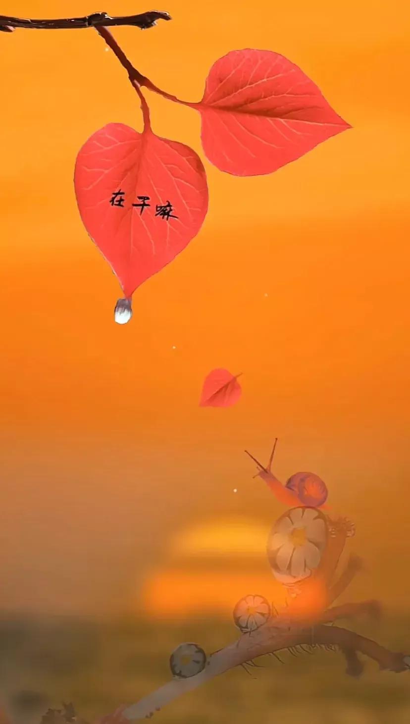 表白文案高级有深度20个字,表白的高级文案英文