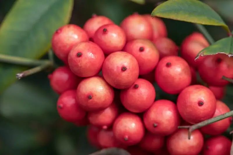 宾得新款16-50评测,宾得镜头18-135样片测评