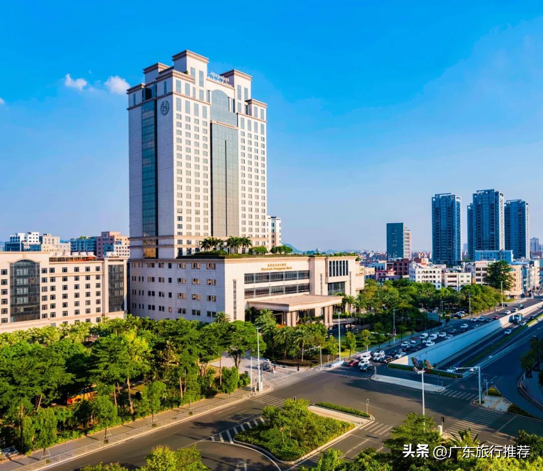 喜来登大酒店海鲜自助晚餐,东莞喜来登酒店自助餐