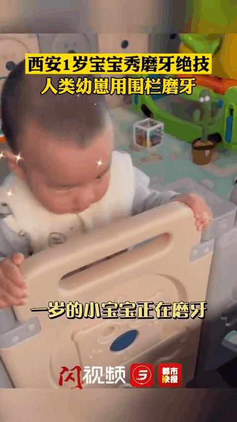宝宝爬围栏磨牙,长牙宝宝啃围栏
