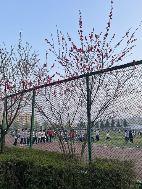 梅西卡塔尔世界杯一己之力赢球,卡塔尔世界杯梅西输了会怎么样