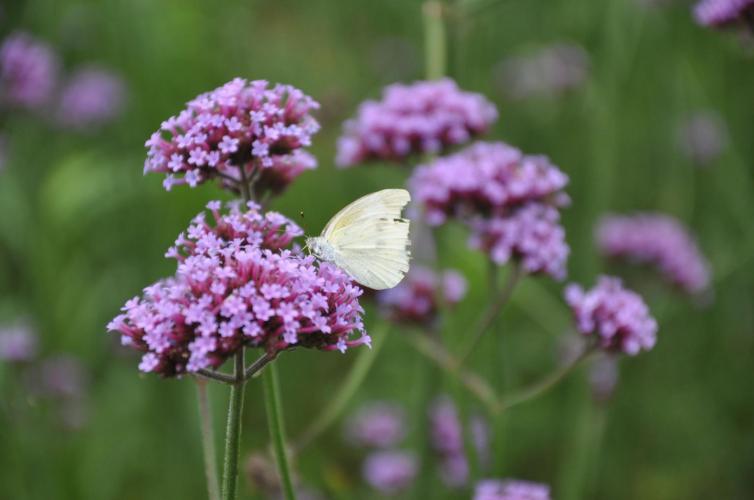 从上海去海口自驾游最佳路线,上海到西藏自驾游攻略最全详细