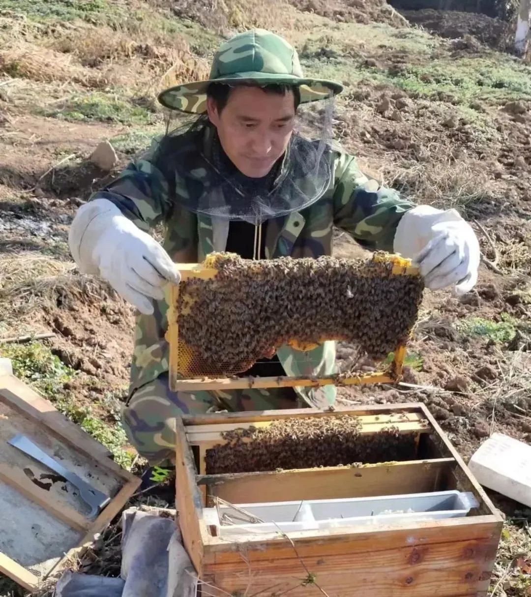 【两当乡土人才】绿色产业“多面手”——谭兴财