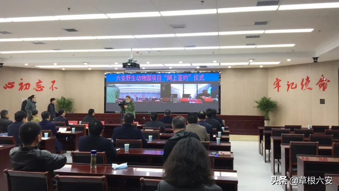 动物园新消息,肥东动物园新消息