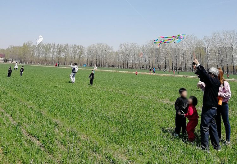 怎样预防庄稼被羊踩,麦苗不怕踩有科学依据吗