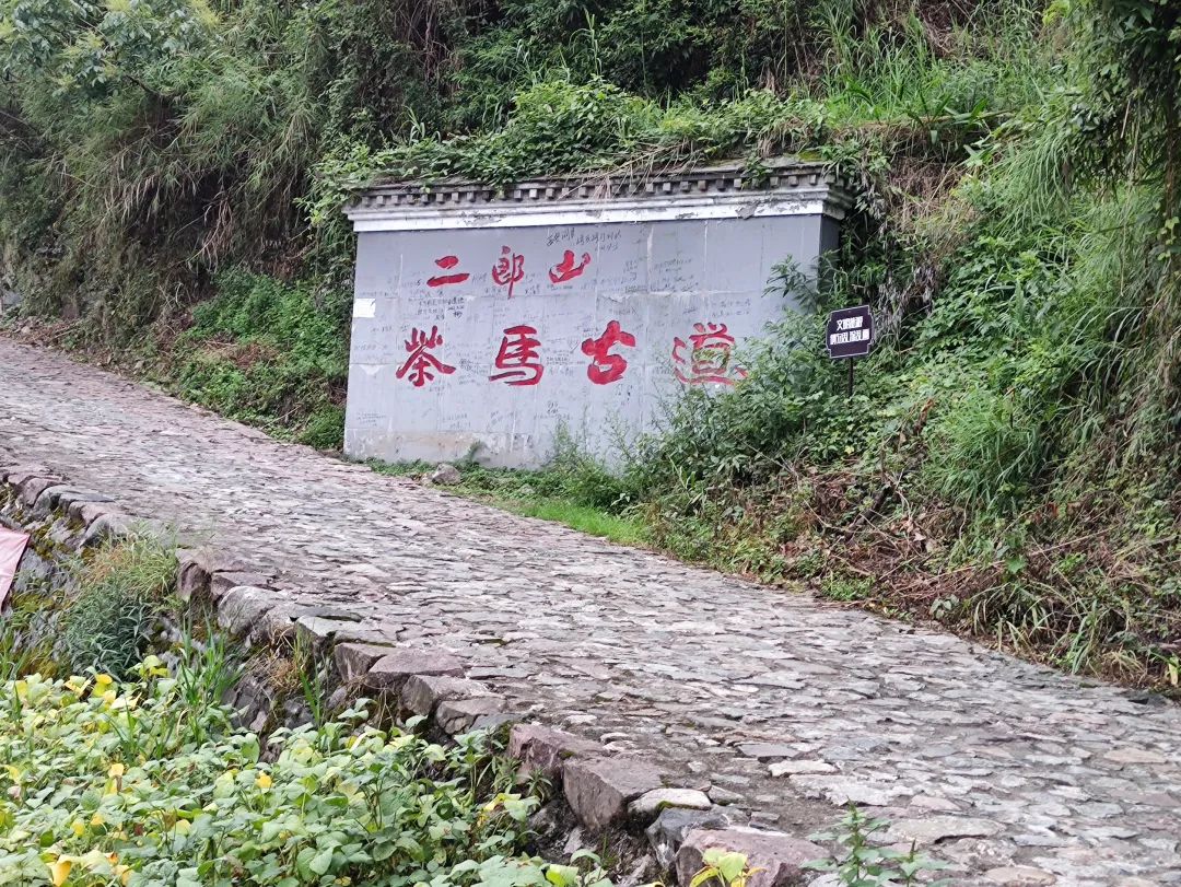 骑行西藏318全集,骑行318详细攻略