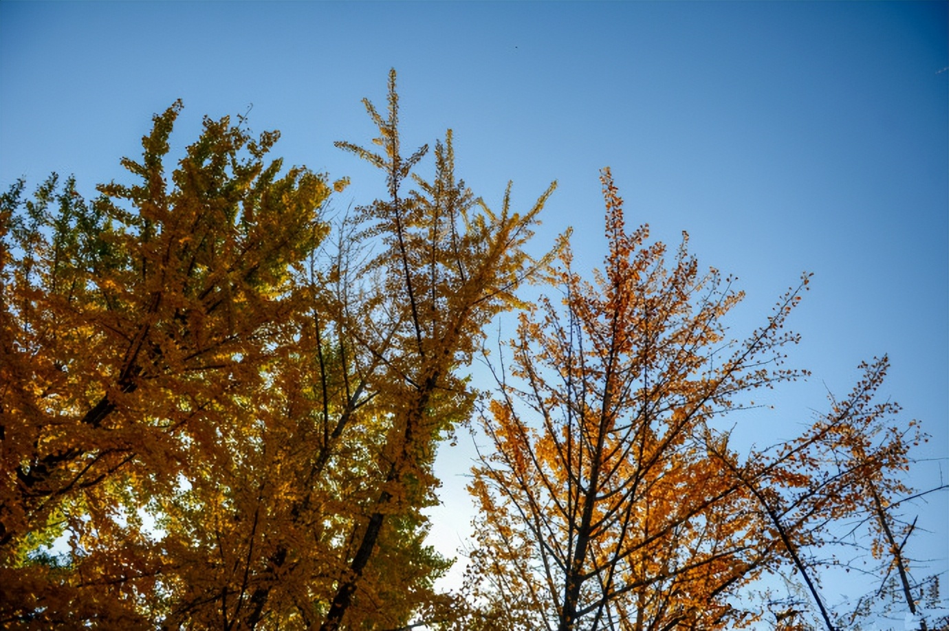 济南赏秋,秋天济南去哪里赏秋最好
