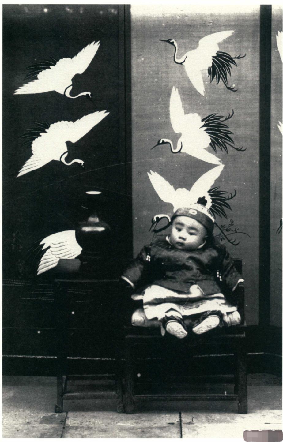 清末三帝为何绝后,为什么清朝皇帝都绝后