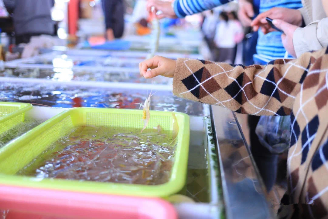 广州人眼中的“虾王”，80元一斤，不管海虾河虾，都鲜不过此虾