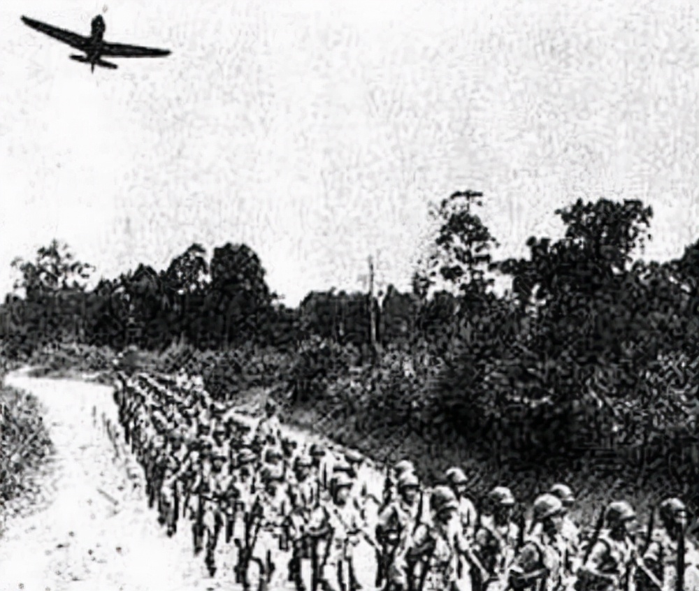 2017年，云南村民采药发现废汽油桶，打开才知全是20多岁军人遗骸