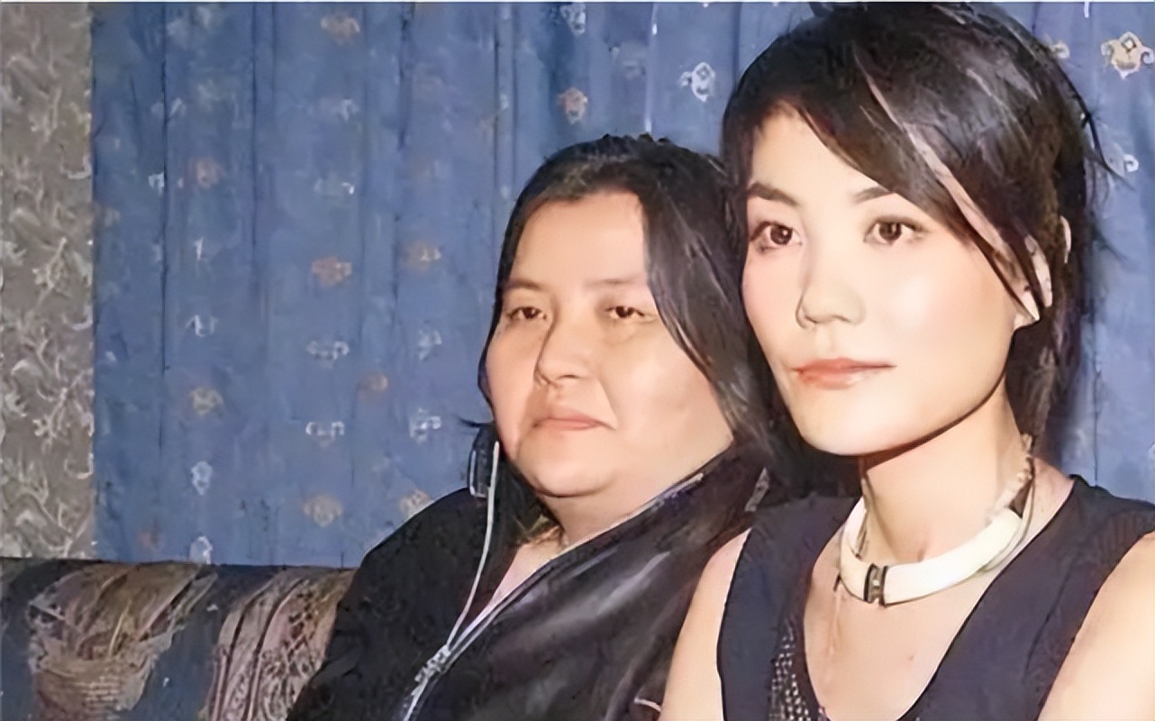 王菲背后故事,王菲究竟是什么样的女人