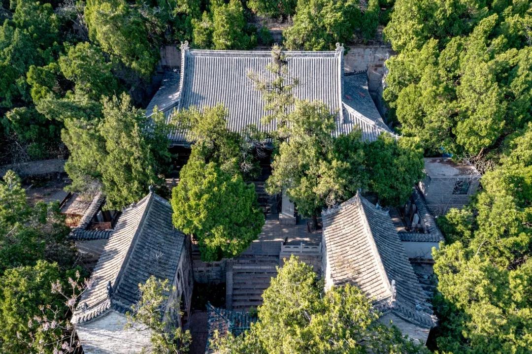 济南夏日森林游玩攻略,藏在济南的夏日度假圣地