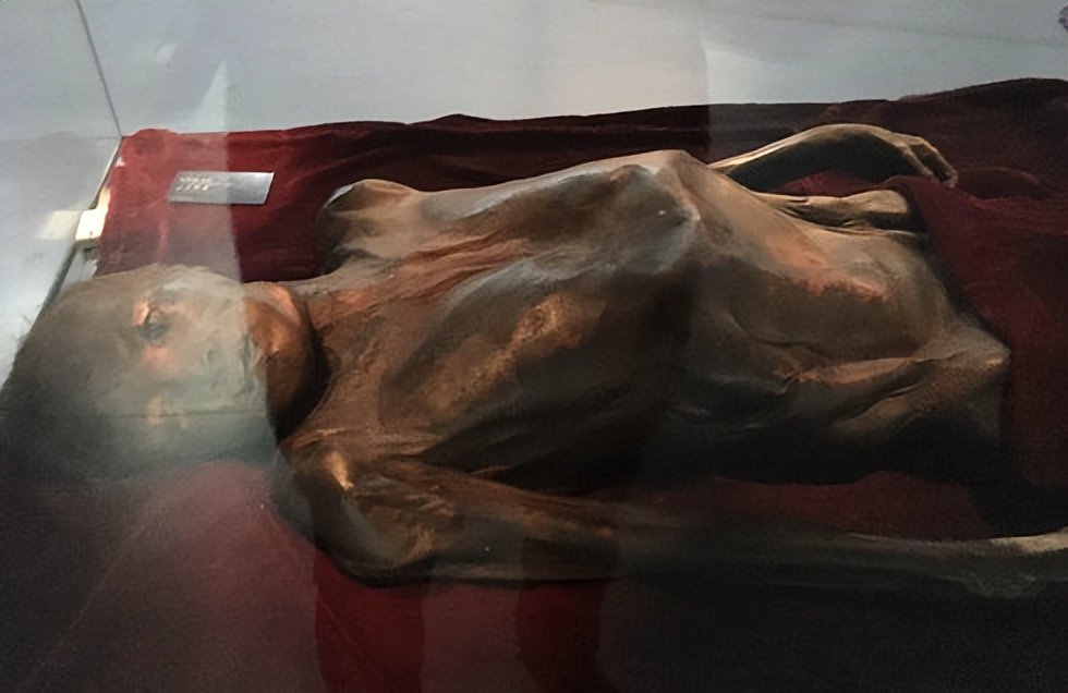 让尸体开口说话查案,让尸体说话纪录片