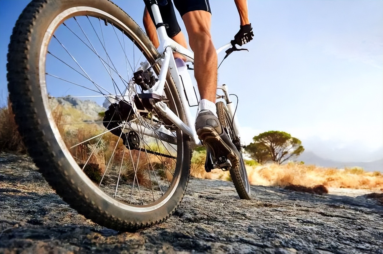 兰永三河口悉地塬野生态农林公园,坐在山头看风景