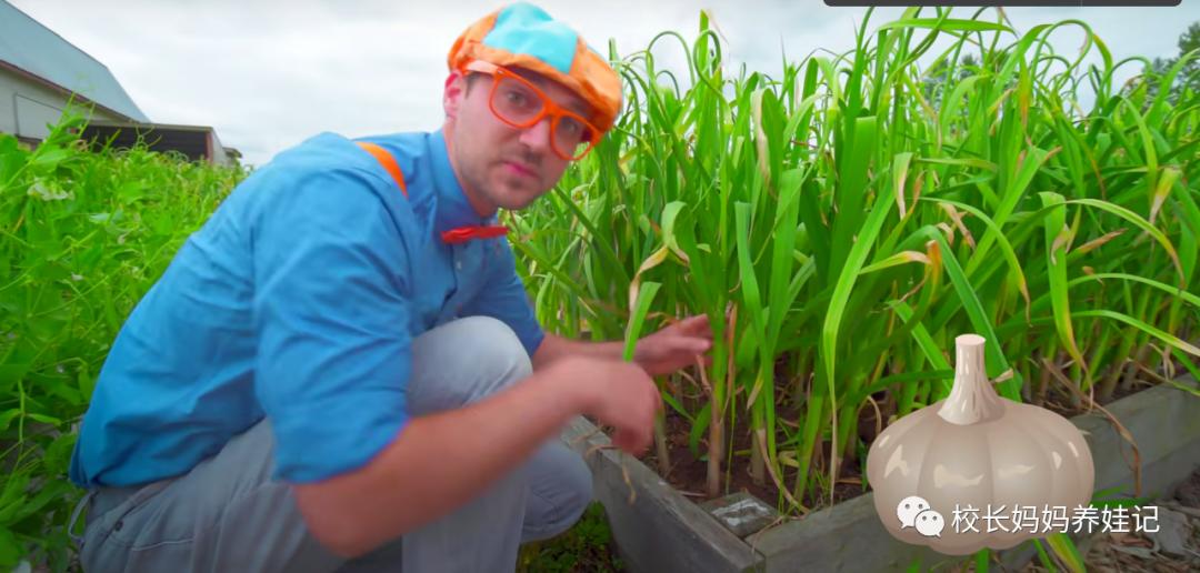 关于春天种植的英文儿歌,英文种植儿歌