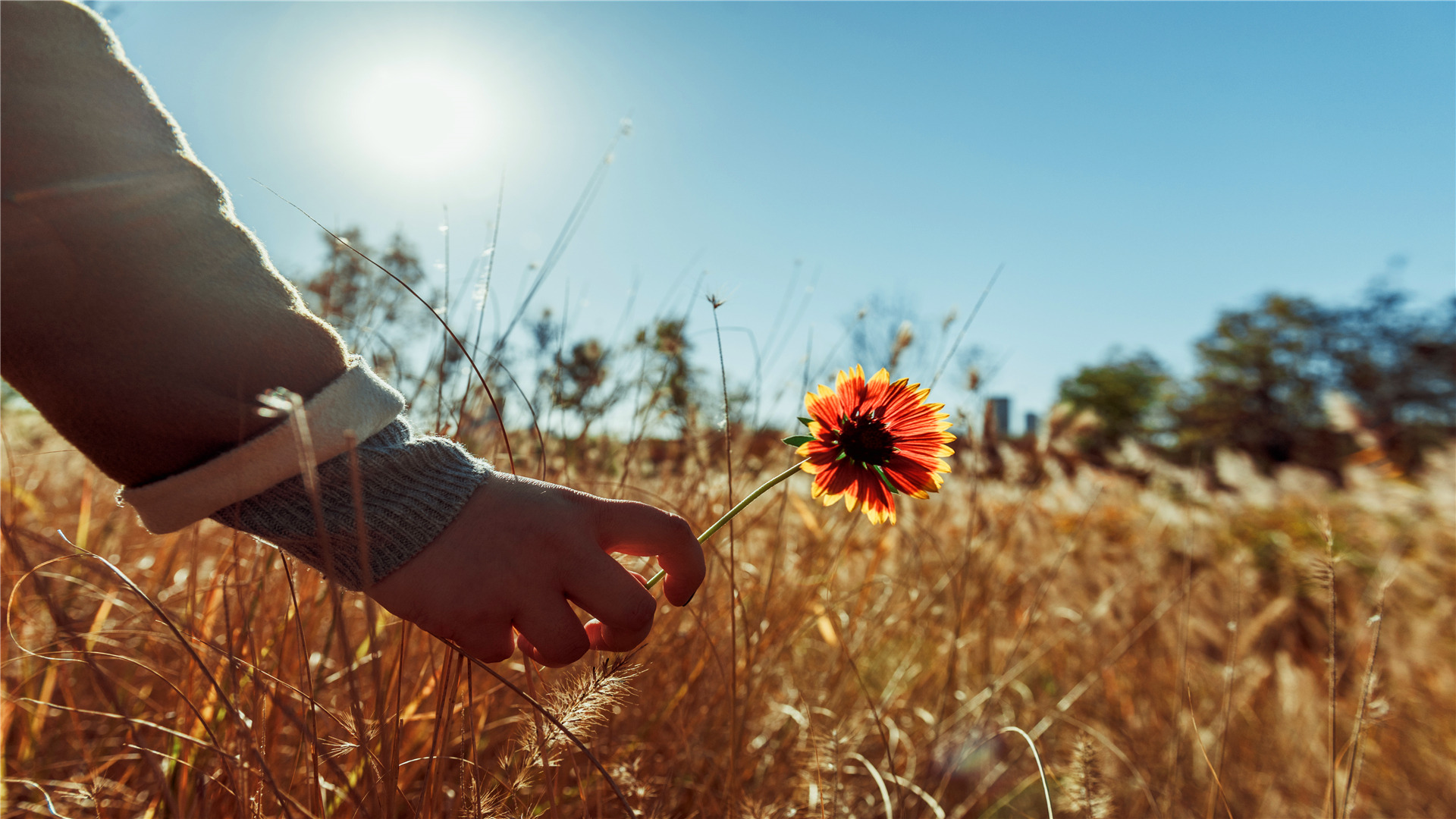 再深爱一个人也要坚持三不做,再好的感情靠一个人维持是没用的