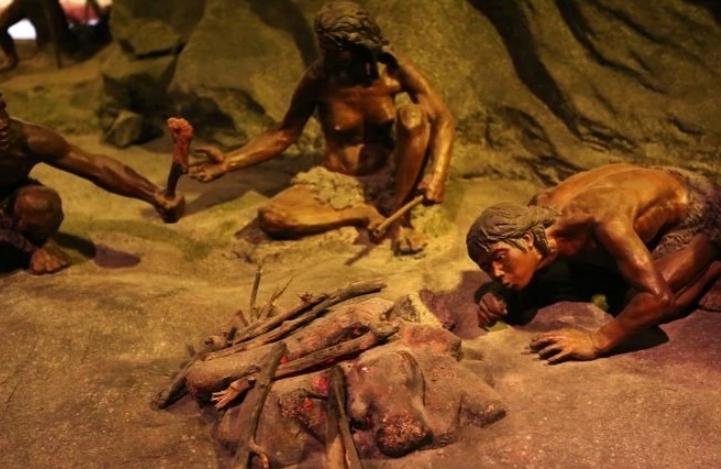 石器时代怎么发展文明,石器时代的发展特征