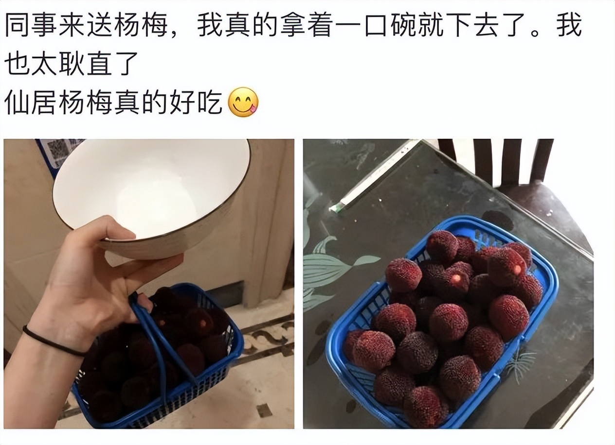 水果中的爱马仕多少钱,高端水果中的爱马仕