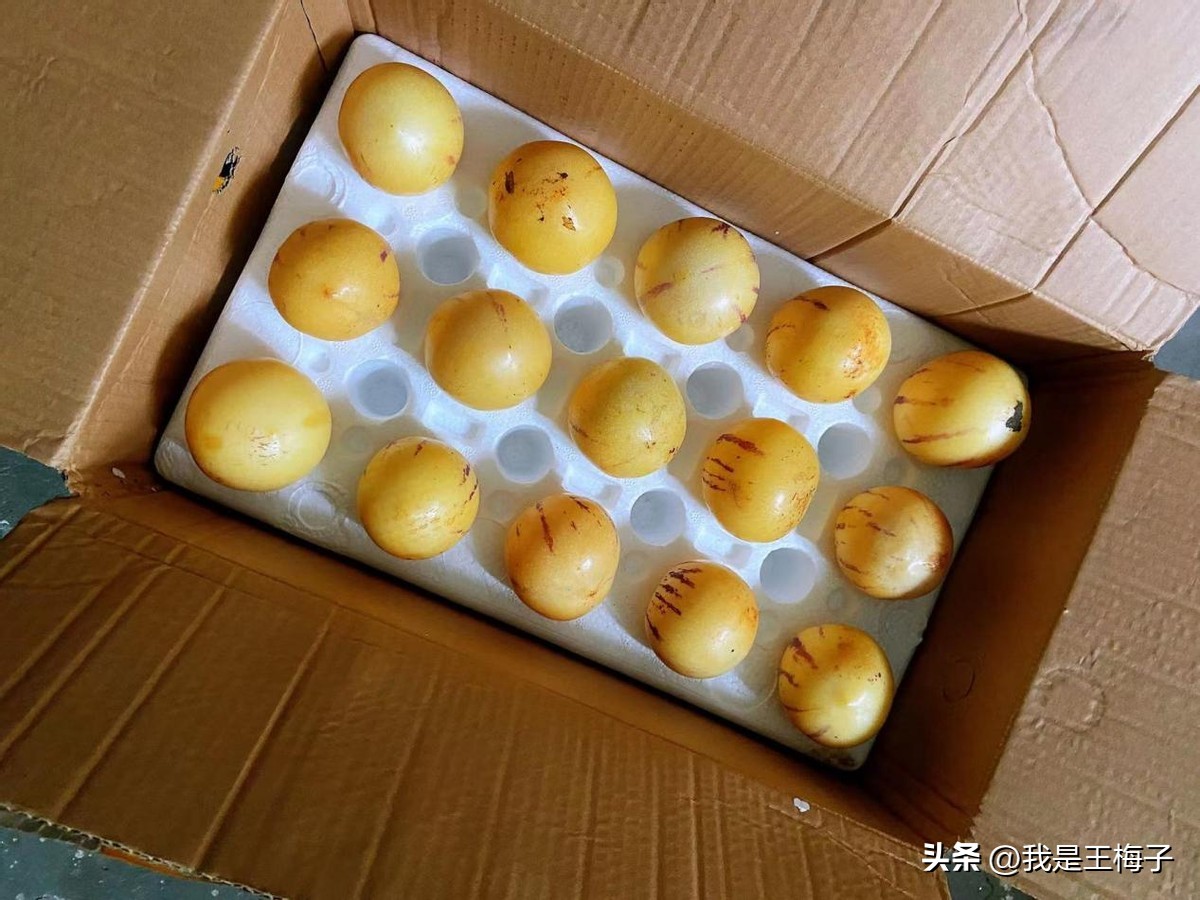 冬季吃什么水果补充维生素,多吃这些应季水果不止补充维生素