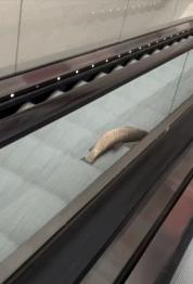 老婆包里发现的卡,老婆牙疼的特效药