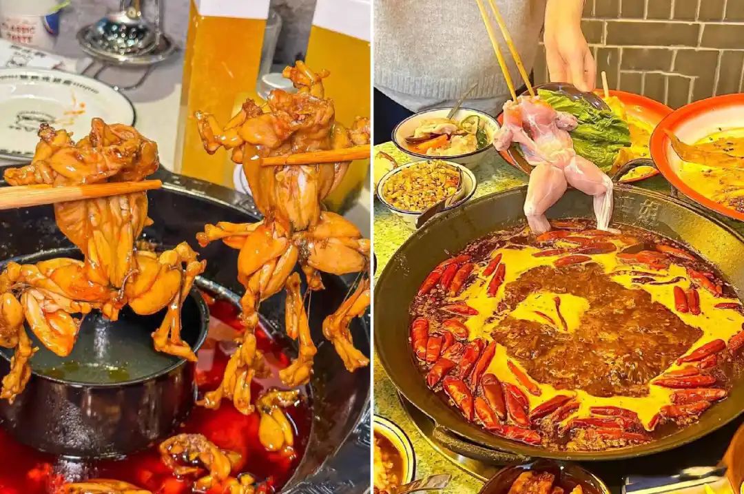 大连牛蛙自助火锅无限量,自助牛蛙火锅的牛蛙成本价