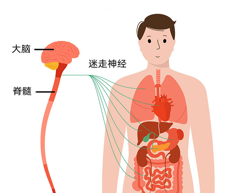 肋骨骨折后恶心怎么回事,受伤以后出现恶心的感觉怎么回事
