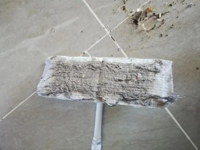为什么家里毛絮很多如何处理,家中毛絮频频出现