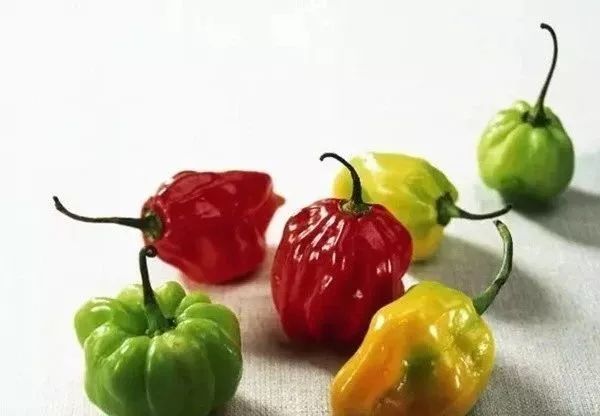 最辣的辣椒全球,全球超辣辣椒