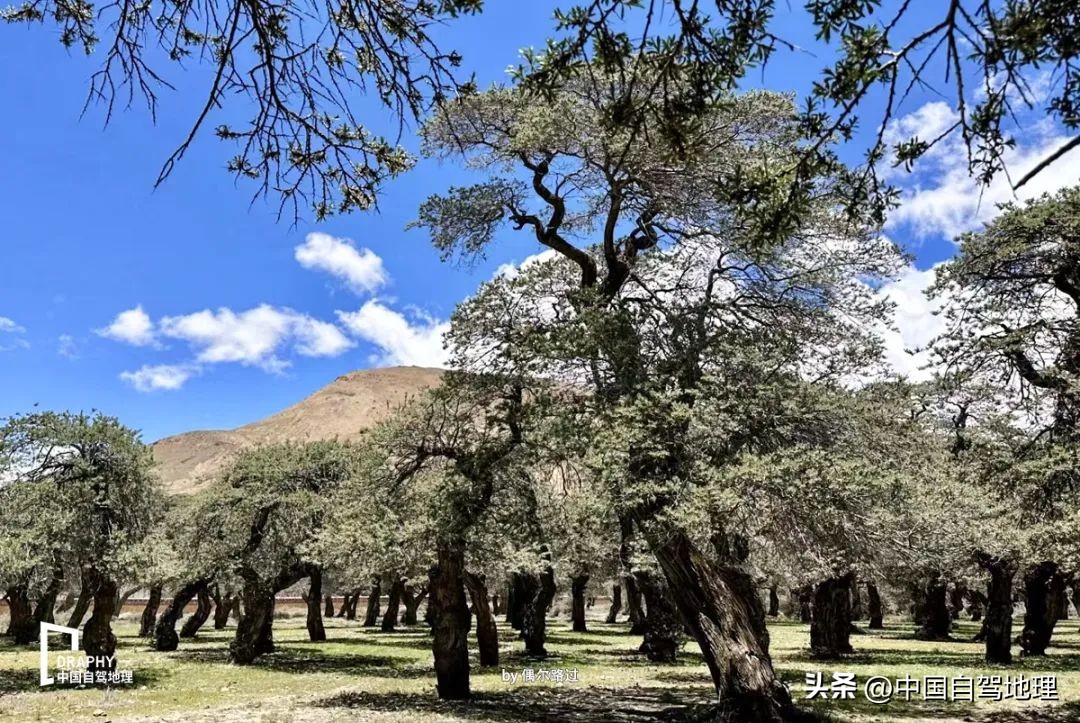 冬日边走边玩路线推荐,滇藏公路西藏七天自驾旅游攻略