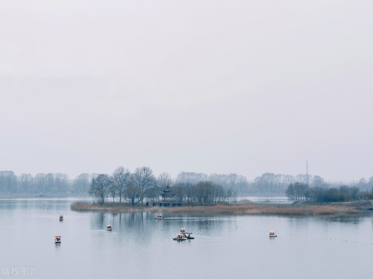 晨雾缭绕景色迷人,晨雾中看晶莹剔透的霜花