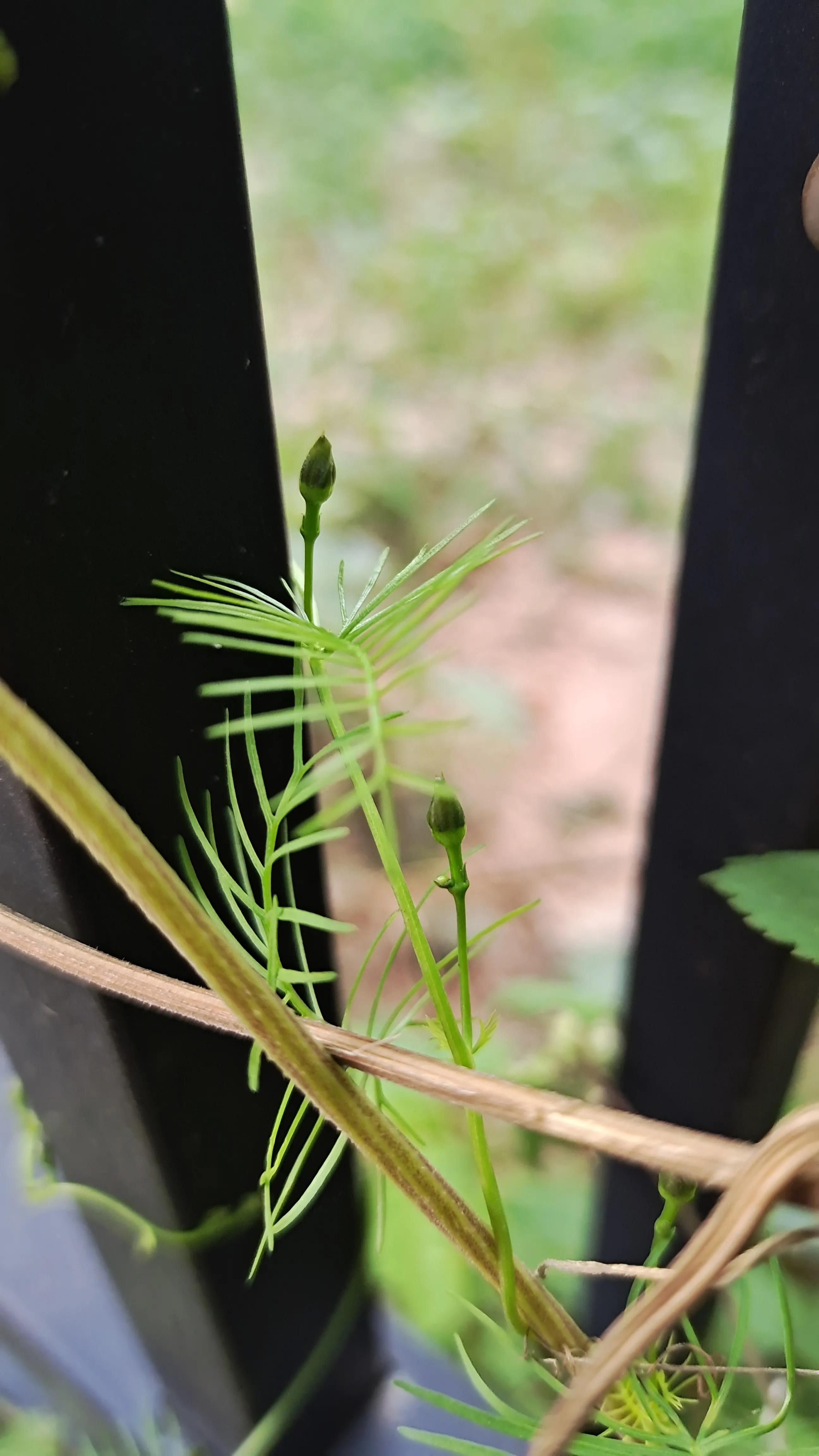 念念不忘必有回响的意思,念念不忘必有回响么