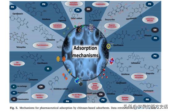 改性壳聚糖吸附重金属离子,改性活性炭吸附实验报告