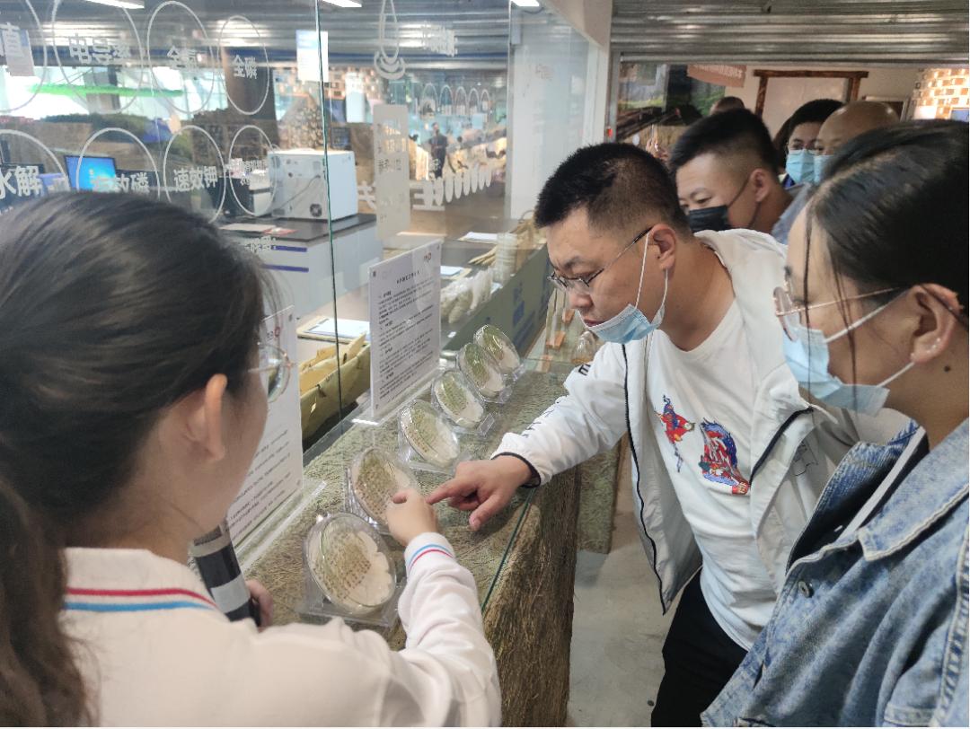 涓撹姝︾,钘滄皯鐧句俊楂樺師钘滈害