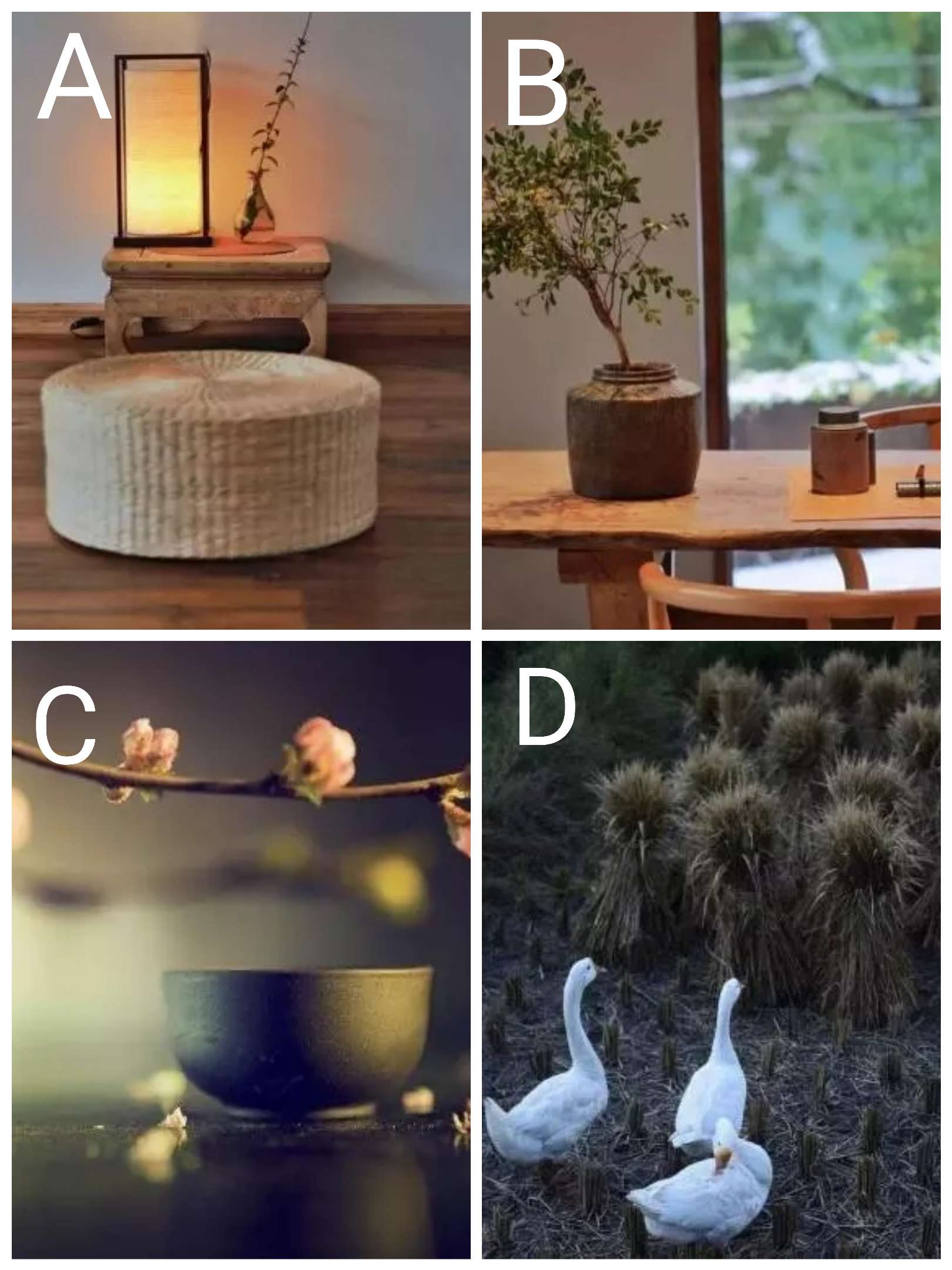 已婚女人收了很多已婚男人的礼物,已婚女人收别的男人的礼物