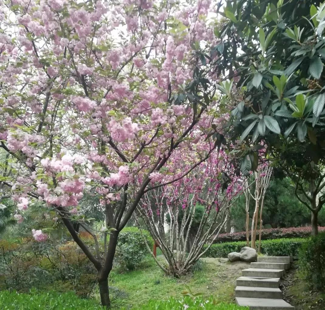 简单易记成语接龙大全完整版,成语接龙大全为孩子收藏