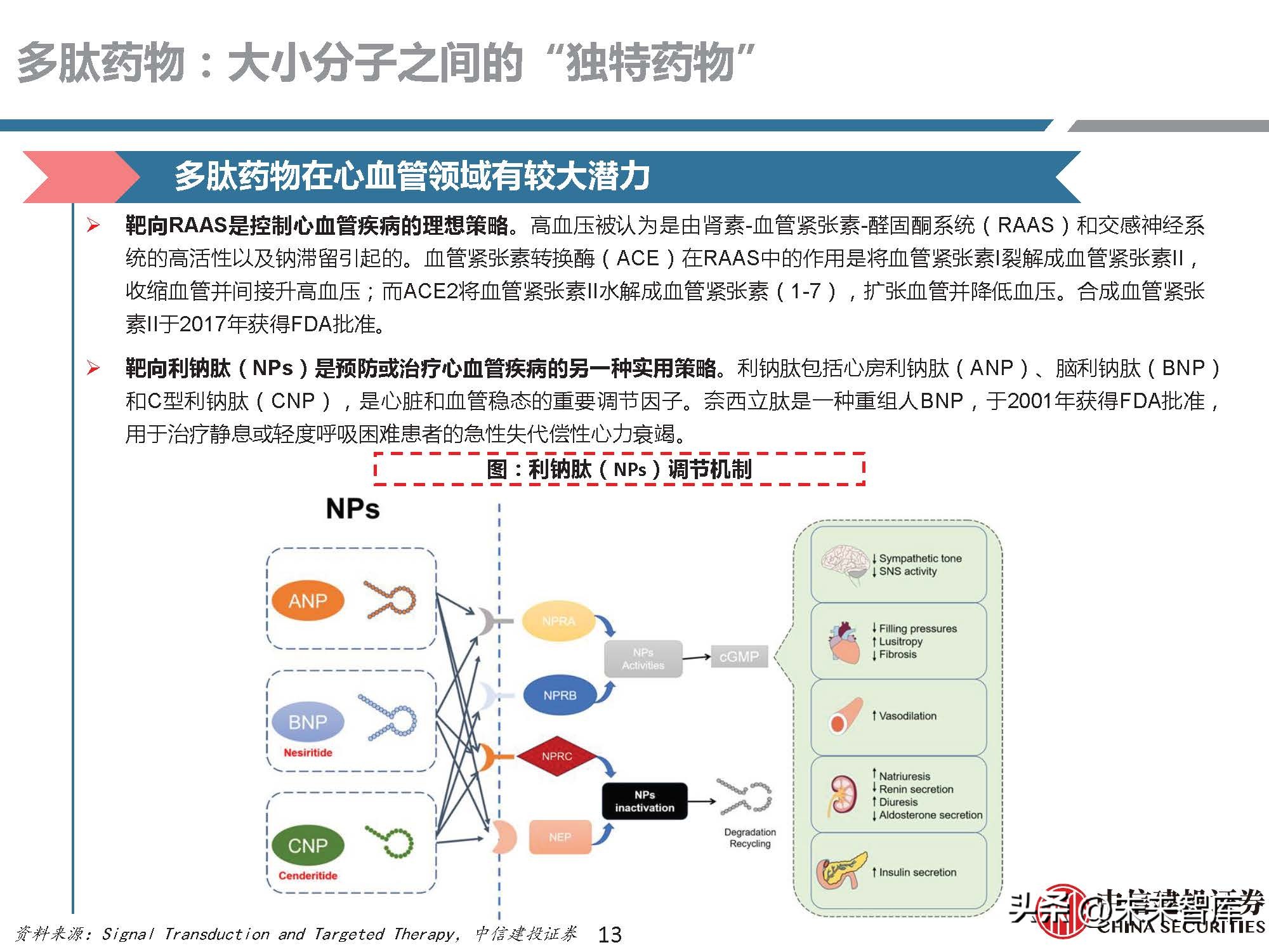 多肽药物前景,医药行业研究