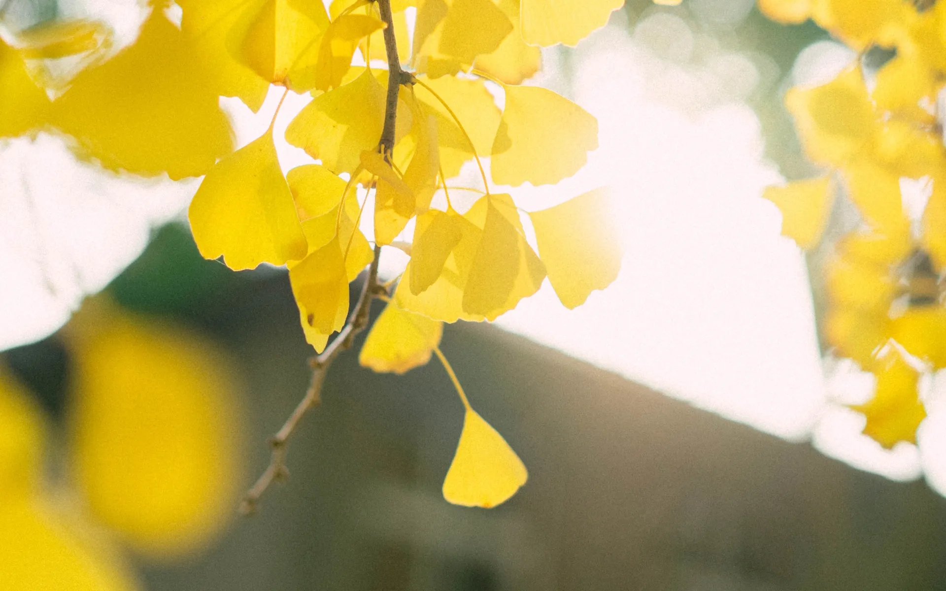 人与人之间最远的距离是阴阳相隔,人与人说话要保持一米以上的距离