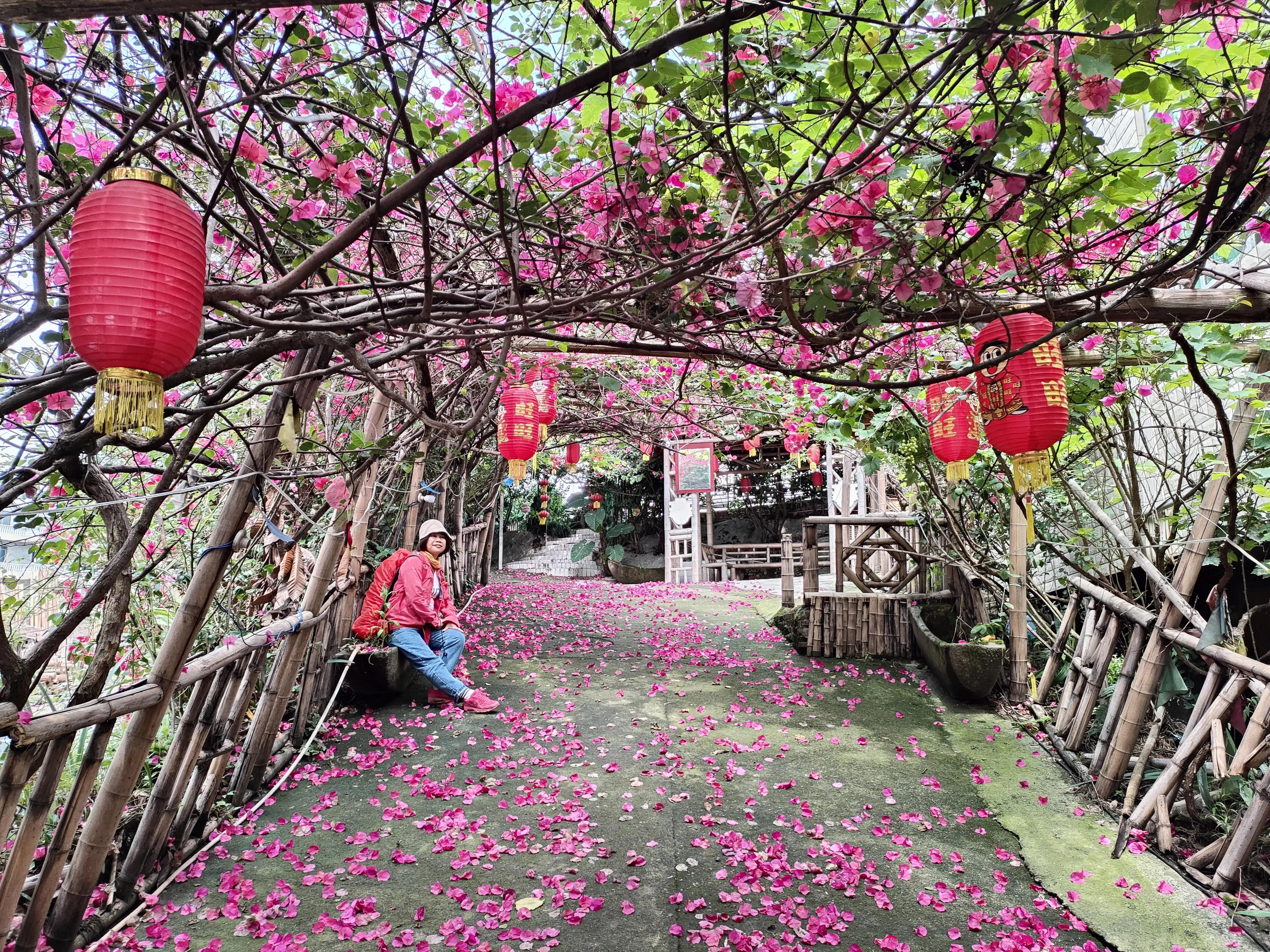 滇黔之行,川渝黔之行